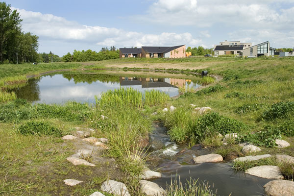 Regnvandsbassiner kan være med til at berige et boligområde med et spændende dyre- og planteliv. Eksempel på synlig afledning af regnvand, Sjelborgparken i Hjerting.